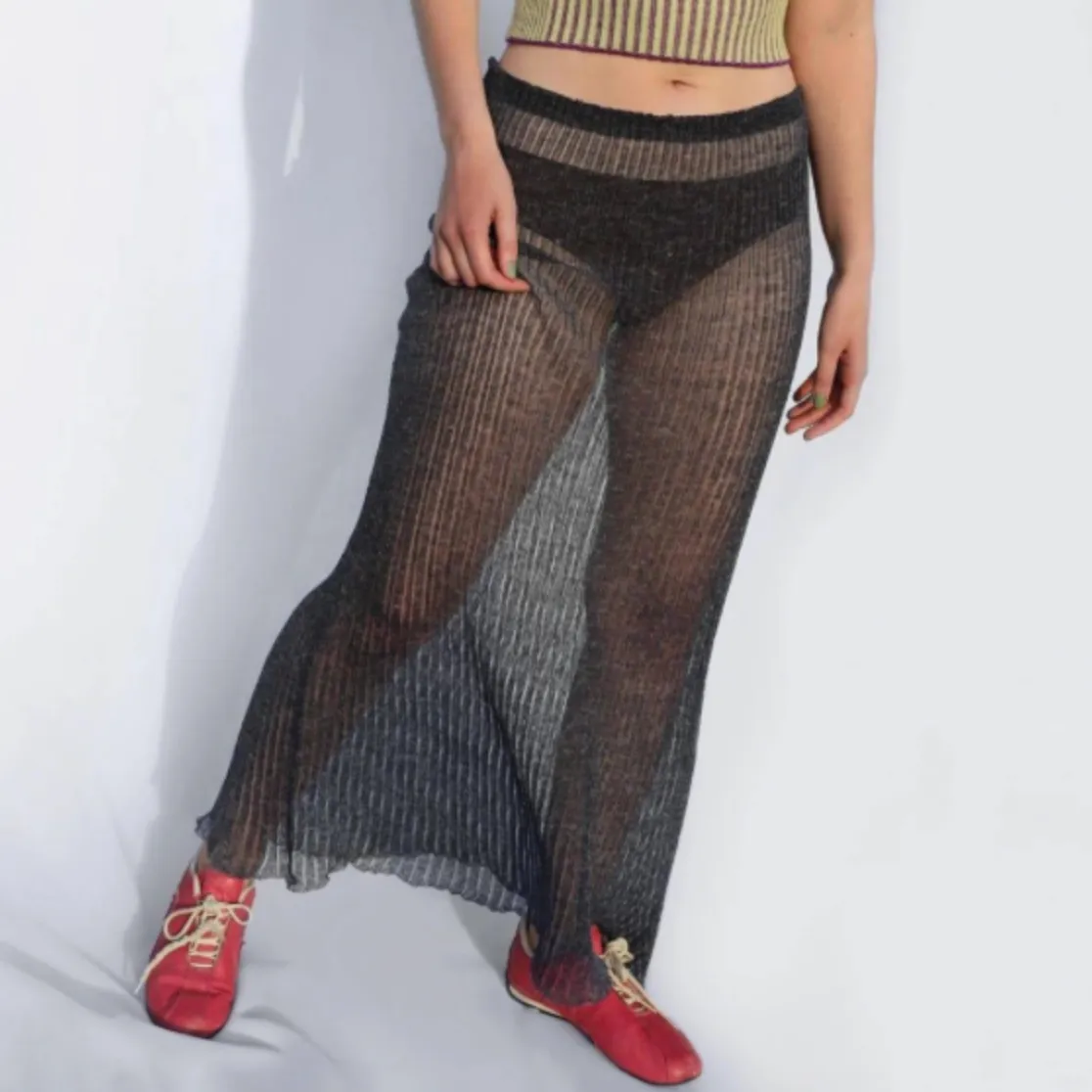 Aletta Mesh Pleated Sheer Maxi Skirt