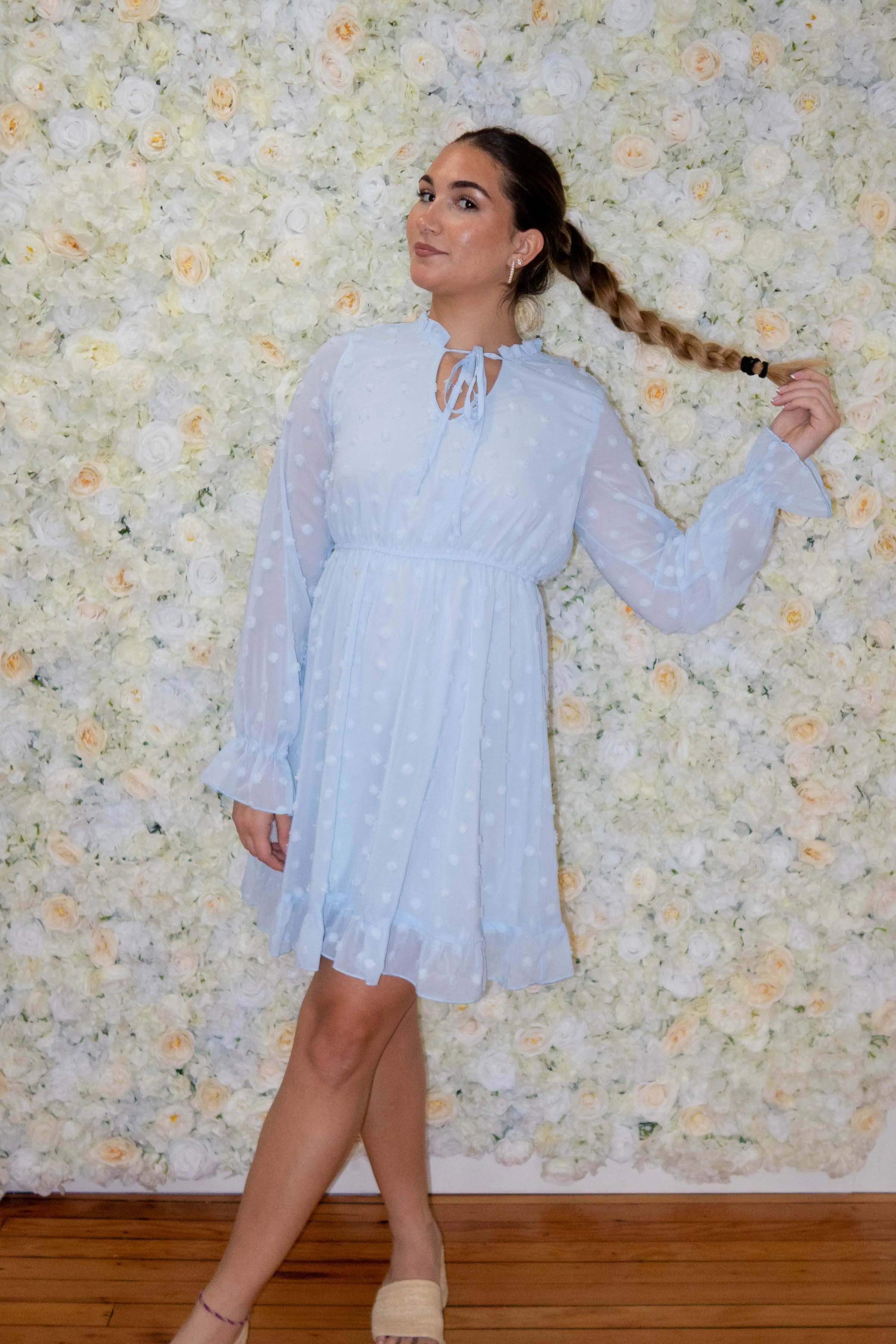 Baby Blue Swiss Dot Long Sleeve Dress