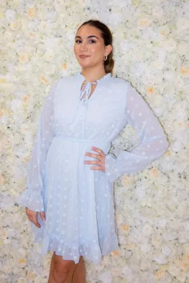 Baby Blue Swiss Dot Long Sleeve Dress