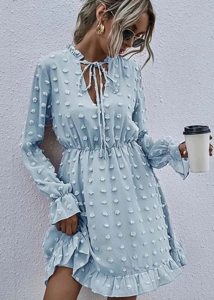 Baby Blue Swiss Dot Long Sleeve Dress