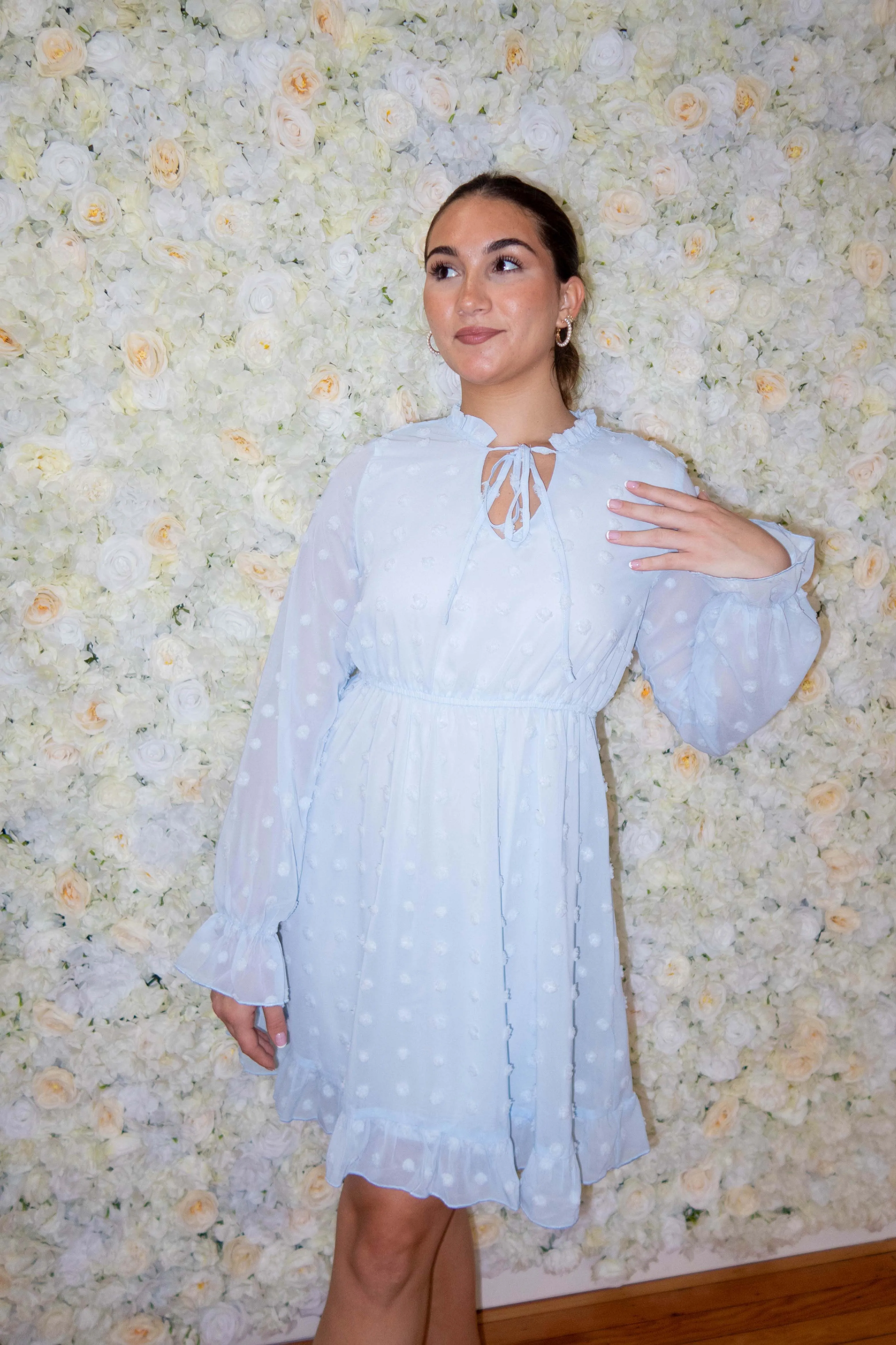 Baby Blue Swiss Dot Long Sleeve Dress