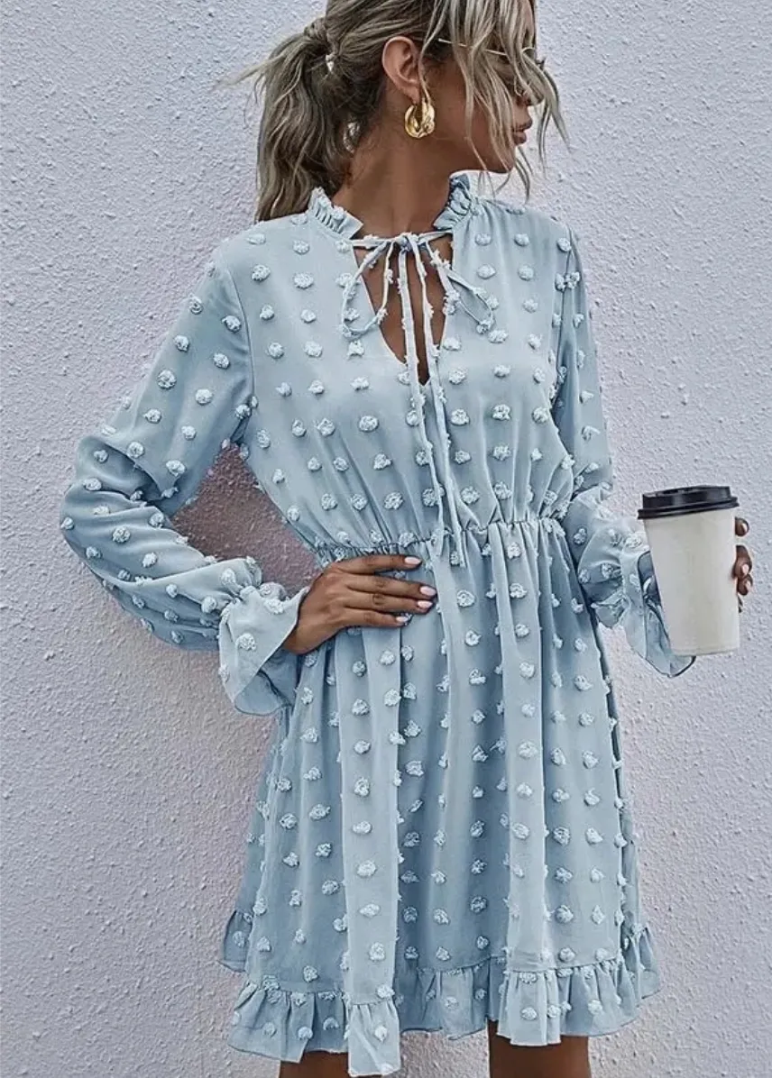 Baby Blue Swiss Dot Long Sleeve Dress