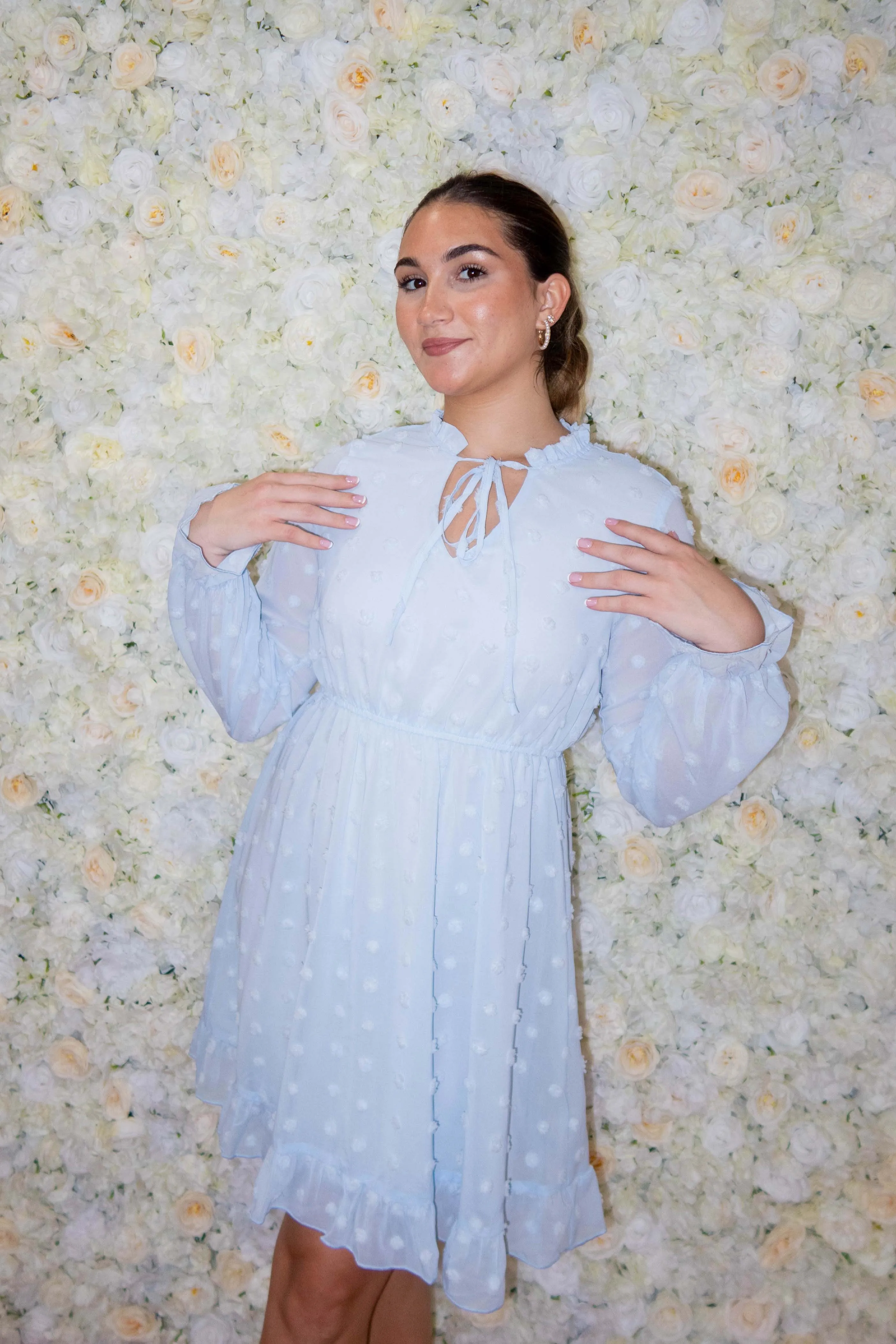 Baby Blue Swiss Dot Long Sleeve Dress